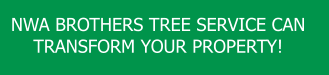 NWA BROTHERS TREE SERVICE CAN TRANSFORM YOUR PROPERTY!