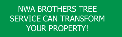 NWA BROTHERS TREE SERVICE CAN TRANSFORM YOUR PROPERTY!